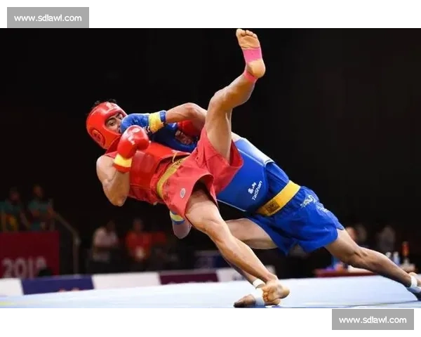 2017年散打比赛精彩回顾与技术对抗分析 选手表现与赛事影响深度解读