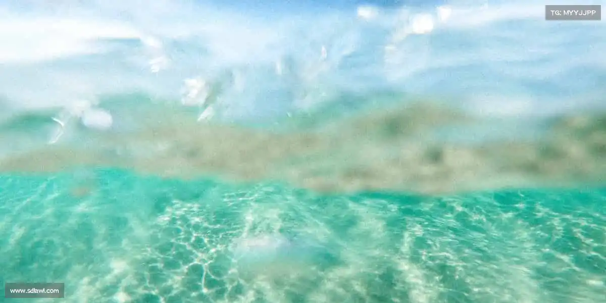 我们的品牌价值